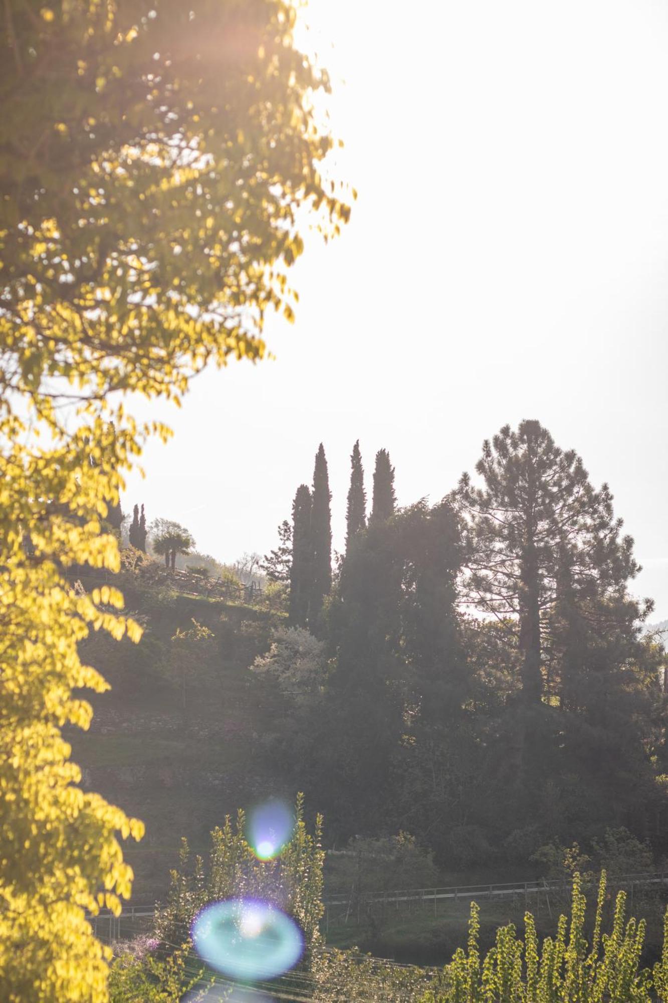 Huberhof * Meran